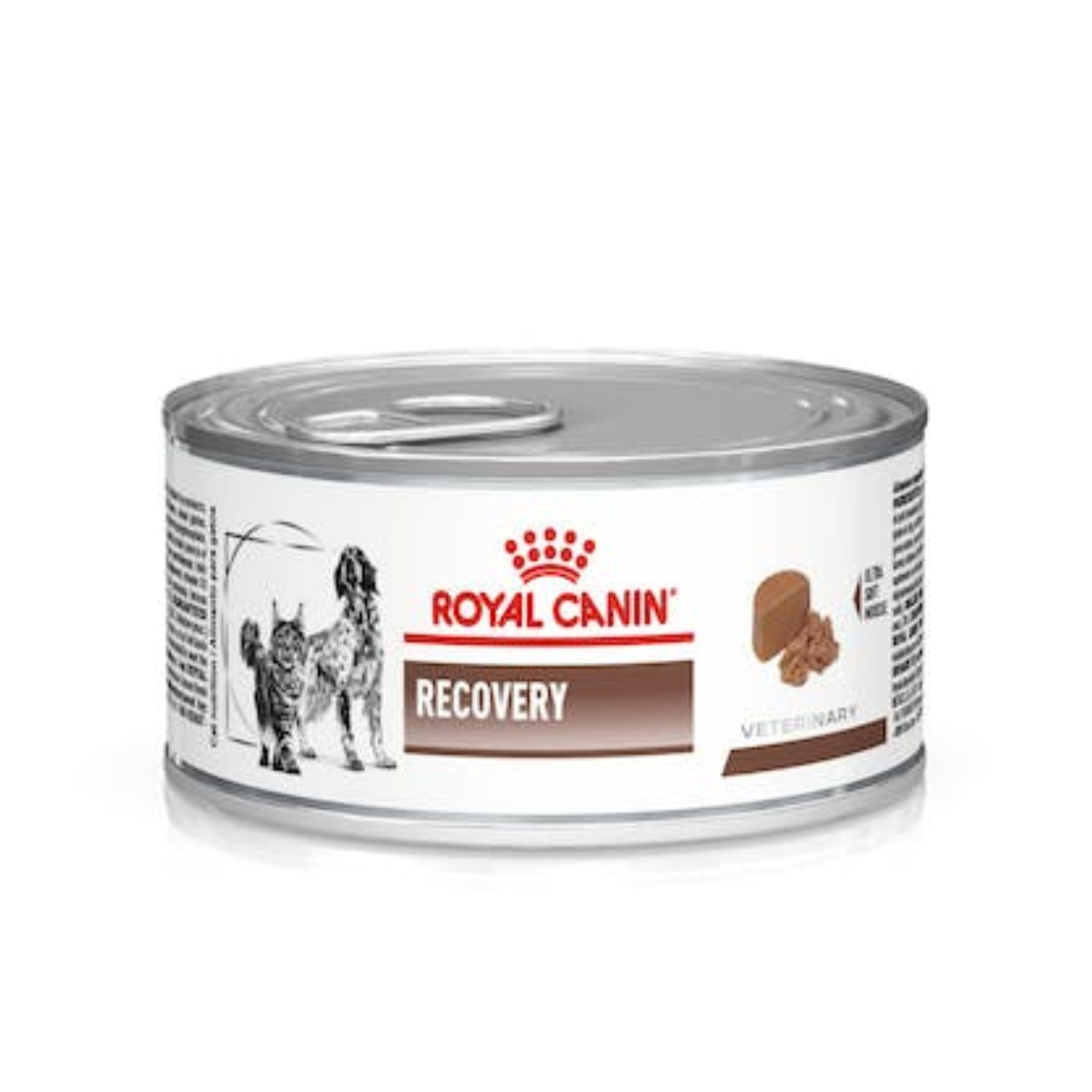 Royal Canin Recovery Perro/Gato Lata 145 Gr