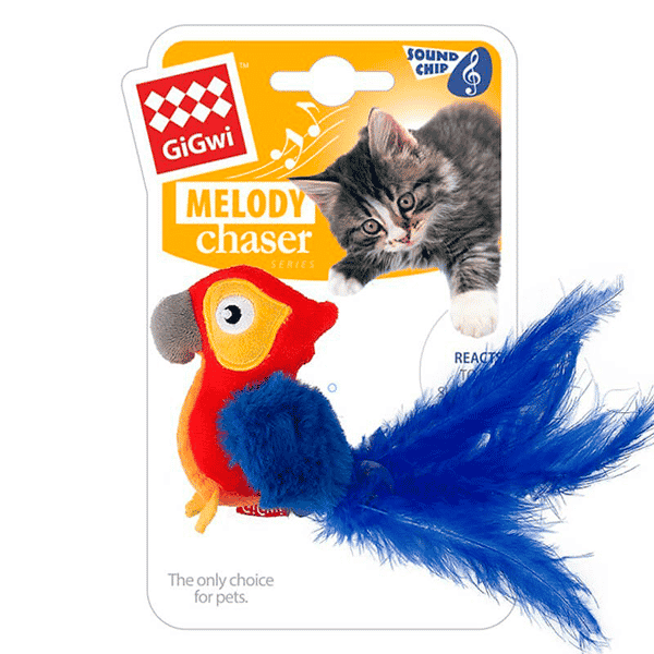 Gigwi Loro Melody Chaser Con Sonido