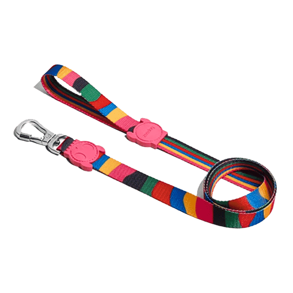 Zeedog Chroma Leash - S