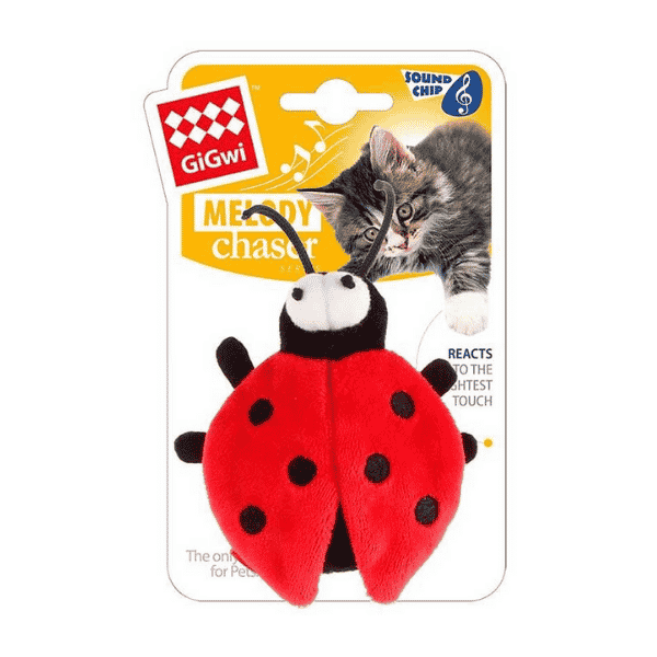 Gigwi Chinita Melody Chaser Con Sonido