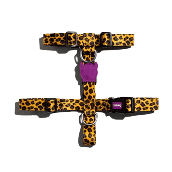 Zeedog Honey H Harness - XS